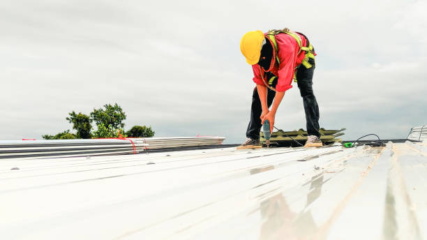 Best Skylight Installation and Repair  in Leonard, TX