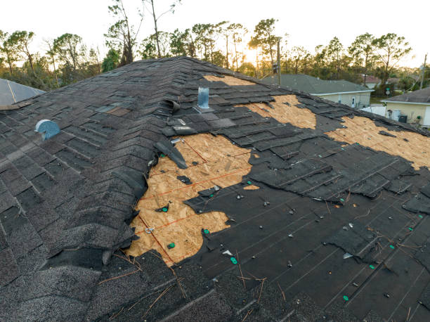 Best Chimney Flashing Repair  in Leonard, TX