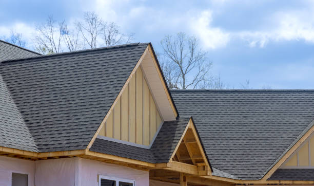 Best Solar Panel Roofing Installation  in Leonard, TX