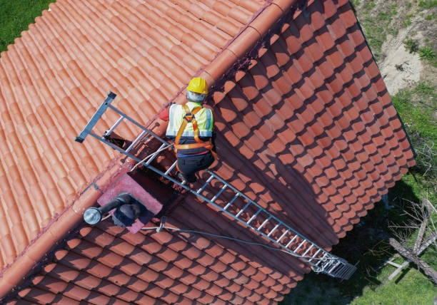 Best Roof Insulation Installation  in Leonard, TX