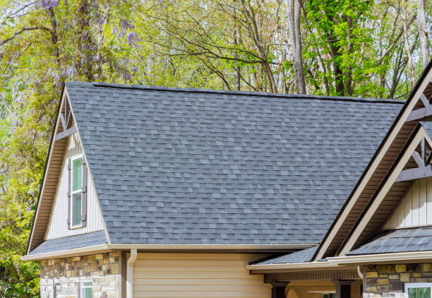 Best Solar Panel Roofing Installation  in Leonard, TX