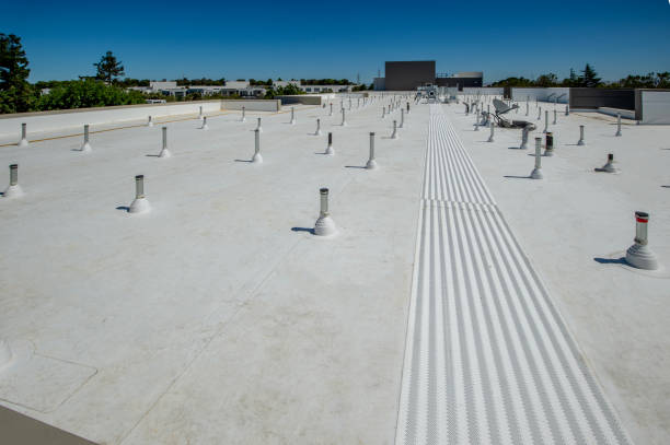 Best 4 Ply Roofing  in Leonard, TX